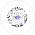 Pragma Investments logo